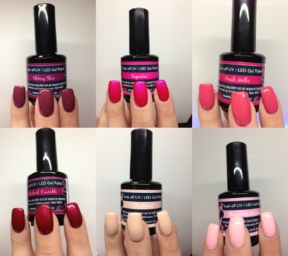 Lish Gel Polish Kit 2
