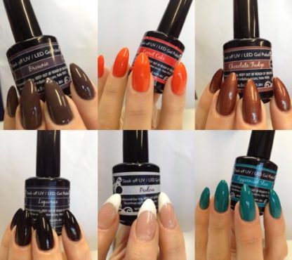 Lish Gel Polish Kit 3